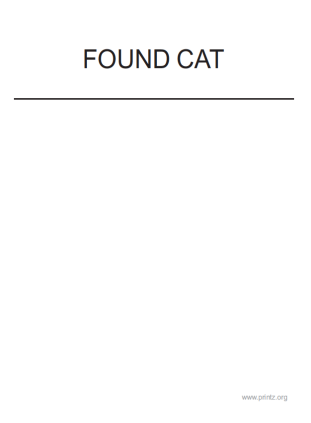 Found Cat Flyer 2