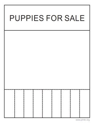 Puppies for Sale