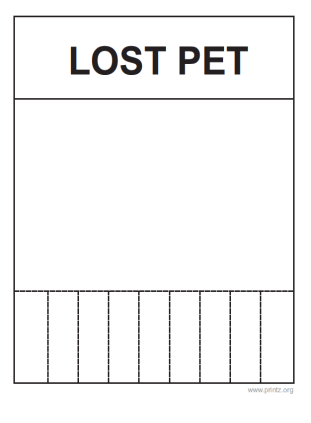 Lost Pet Flyer