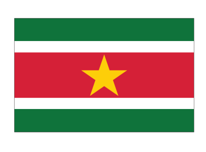 Suriname Flag
