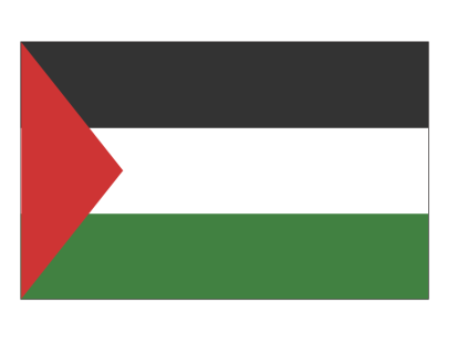 Palestine Flag