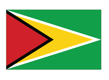 Guyana Flag