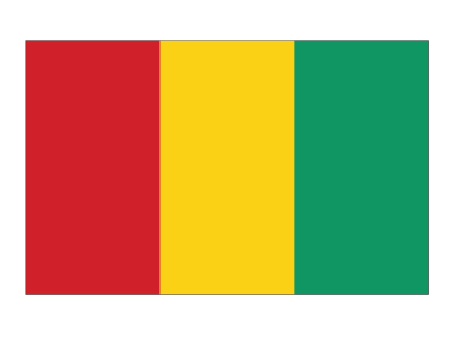 Guinea Flag
