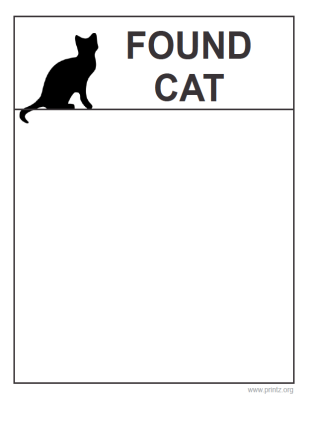 Found Cat Flyer