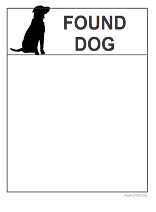 Found Dog Flyer