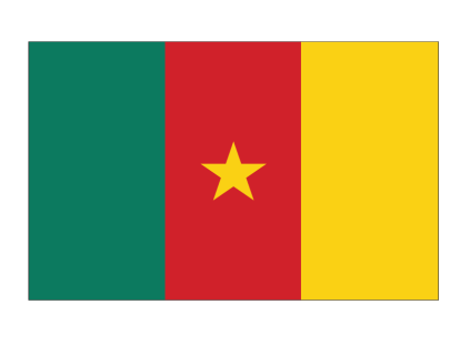 Cameroon Flag