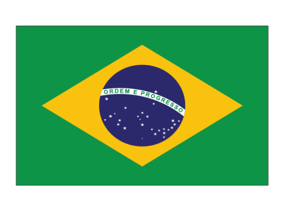 Brazil Flag