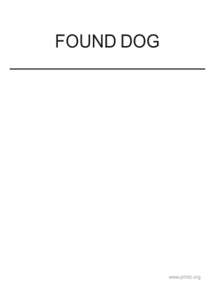Found Dog Flyer 2