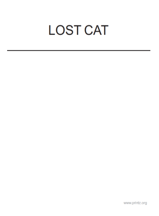 Lost Cat Flyer 2