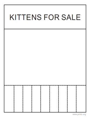 Kittens for sale
