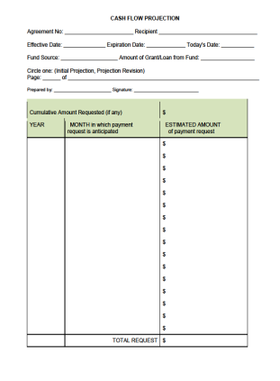 Cash Flow Projection