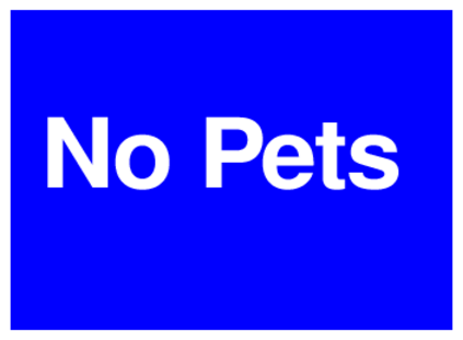 No Pets (on Blue)