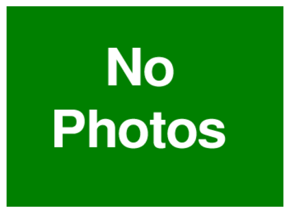 No Photos (on Green)