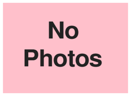 No Photos (on Pink)